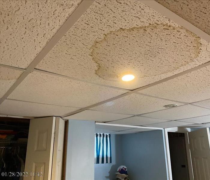 Water stains on basement bedroom drop ceiling tiles
