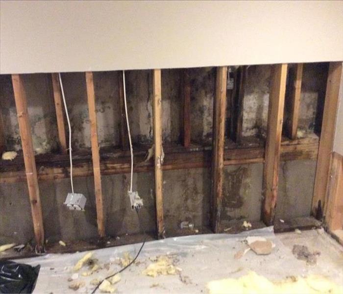 removed wall showing mold