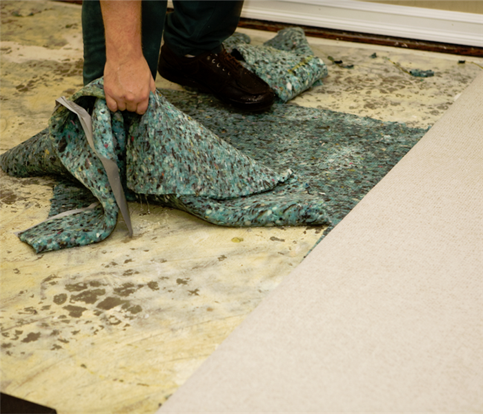 a person pulling up water damaged carpeting