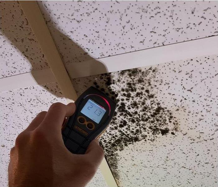 hand holding moisture meter against mold damaged ceiling